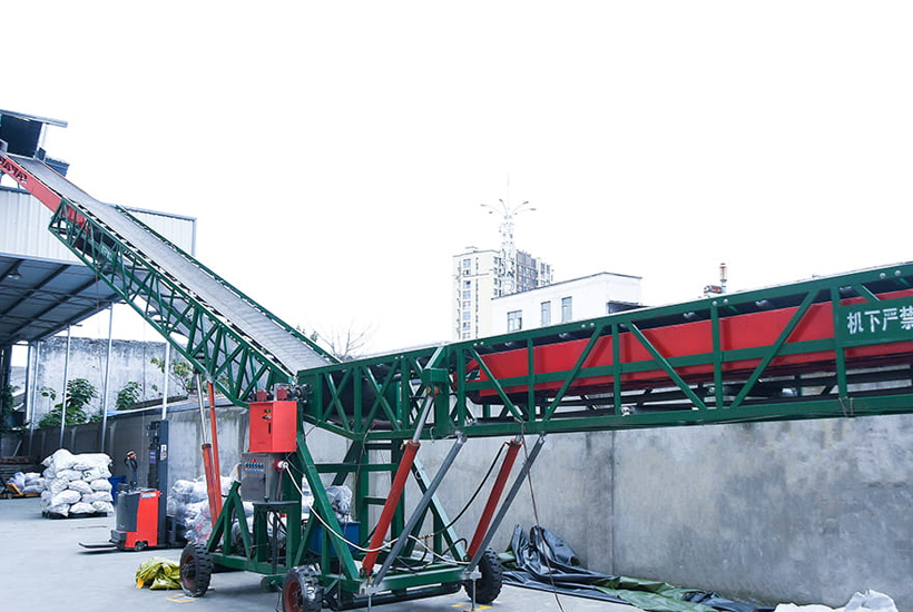 Consultare profesională